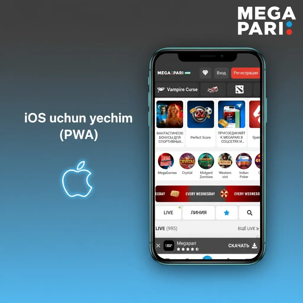 iPhone/iPad’da PWA o‘rnatish: Safari > Share > Bosh ekranga qo‘shish, nom berish va ikonka orqali ishga tushirish (iOS 13+).